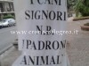 FOTONOTIZIA/ “I cani signori, padroni animali” i cartelli-denuncia davanti all’Anfiteatro Flavio