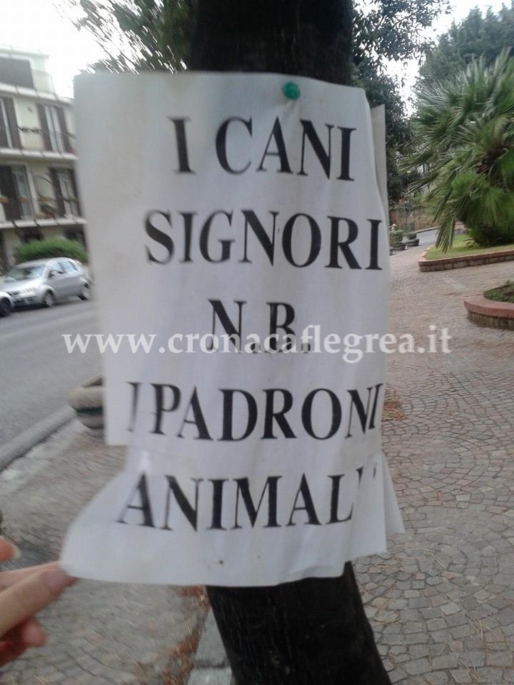 FOTONOTIZIA/ “I cani signori, padroni animali” i cartelli-denuncia davanti all’Anfiteatro Flavio