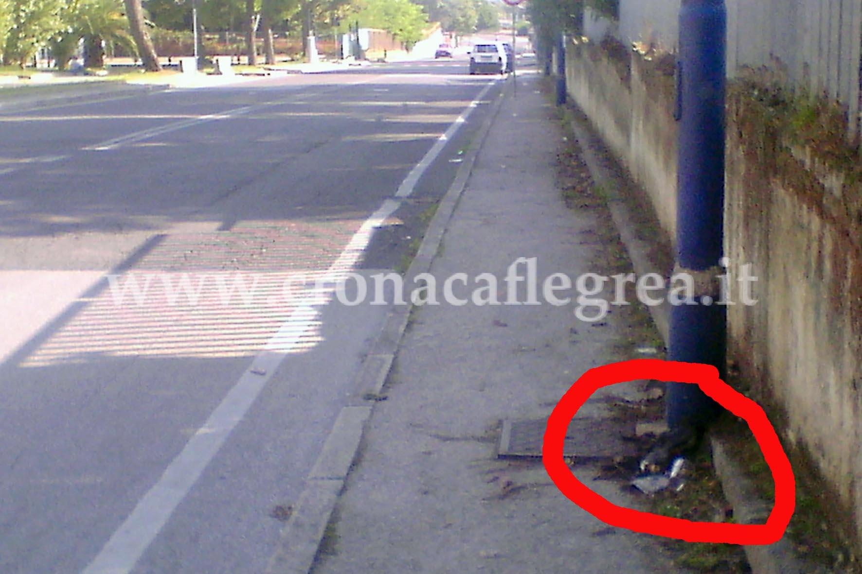 FOTODENUNCIA/ Aria irrespirabile per un gatto in decomposizione sul marciapiede