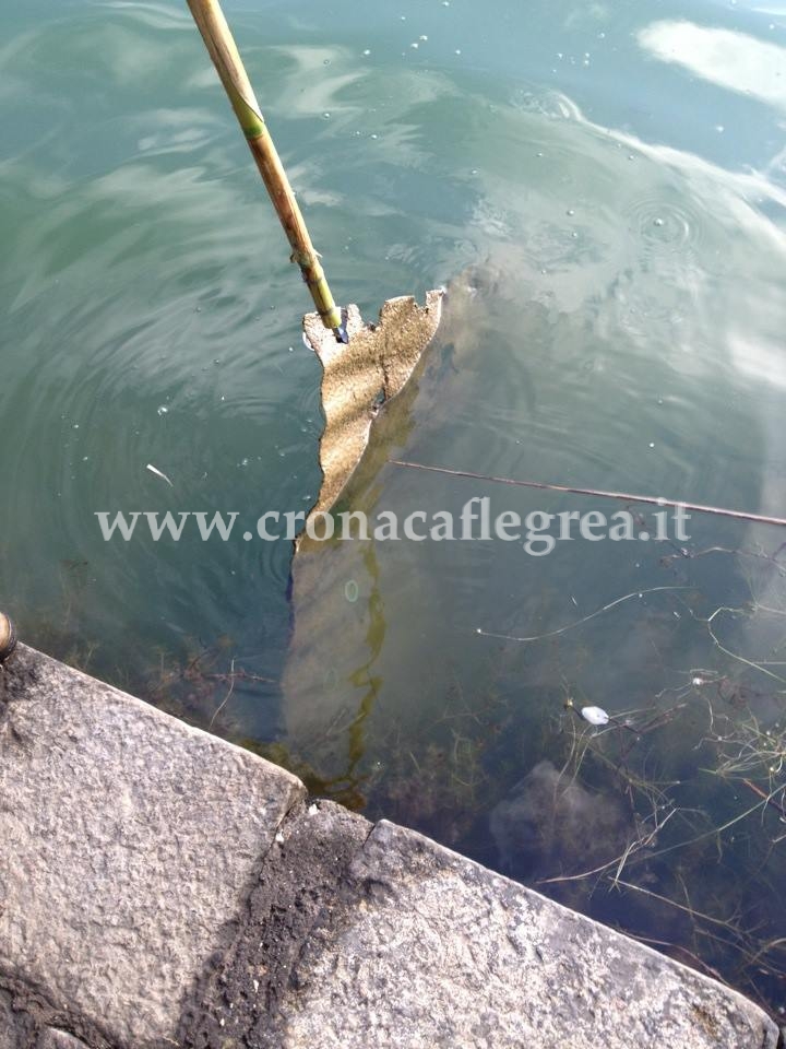 POZZUOLI/ Lastre sul fondo del lago: è amianto?