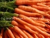 La medicina naturale e le carote per la fertilità