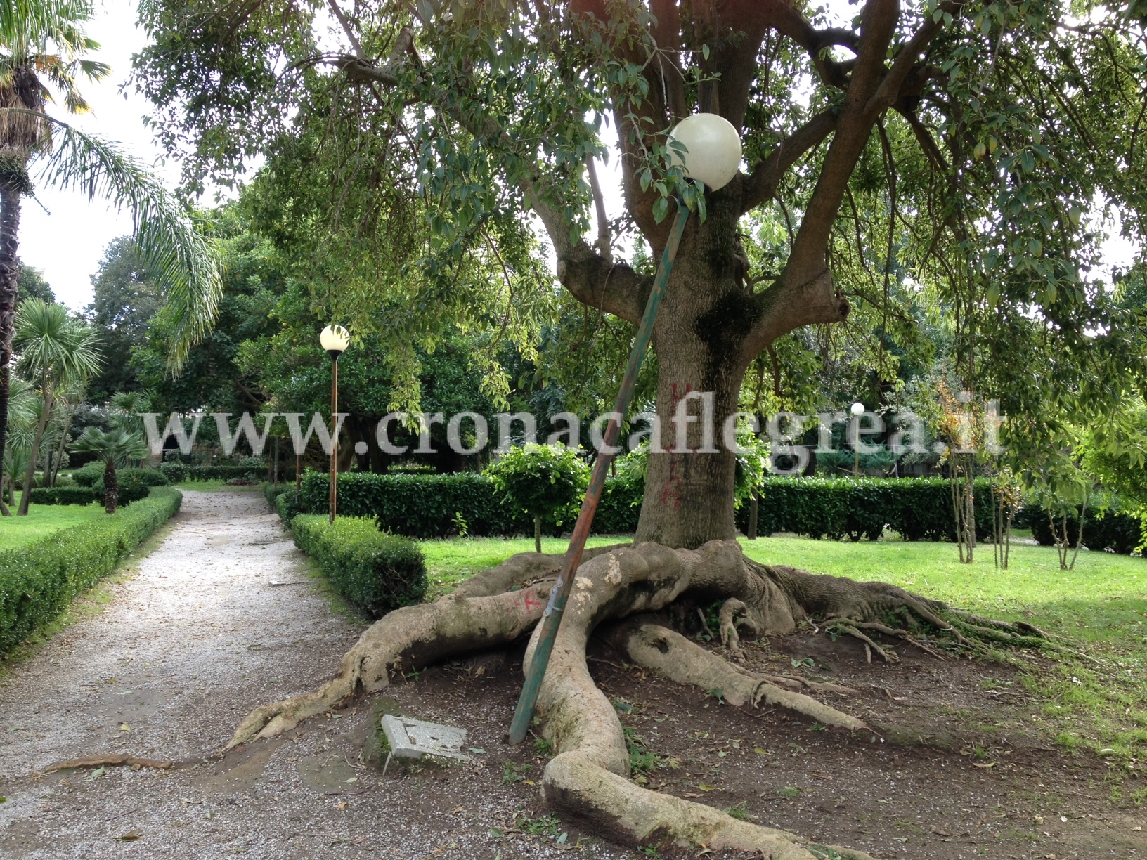 FOTONOTIZIA/ A Villa Avellino i lampioni si piegano come i rami