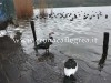 POZZUOLI/ Continua a salire il livello del lago d’Averno, rotti gli argini in più punti – LE FOTO