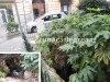 FOTONOTIZIA/ Pozzuoli, la voragine nei giardinetti della Cassa Armonica diventa un cestino