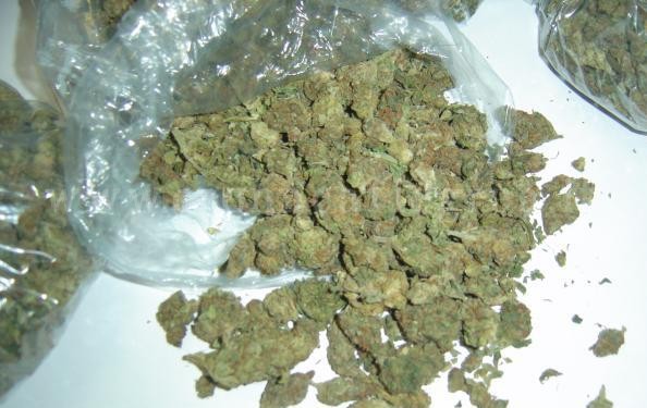 PIANURA/ Marijuana nascosta in sacchi di cemento, sequestro della Polizia