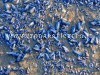 IL FENOMENO/ Meduse azzurre sulla spiaggia di Miseno – LE FOTO