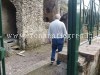 LO SCANDALO/ Un cancello rotto “riapre” la Necropoli di via Celle – LE FOTO
