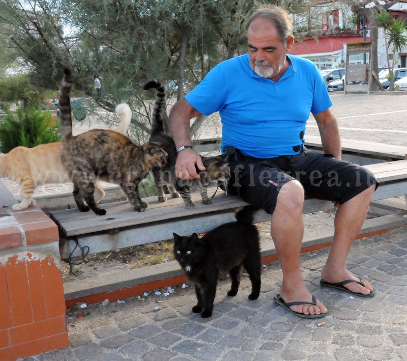 LA STORIA/ Giacomo, il pescatore di Bacoli che sfama 11 gatti abbandonati – LE FOTO