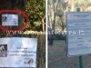 POZZUOLI/ Cani in Villa Avellino, Comune e cittadini contro i “padroni sporcaccioni”