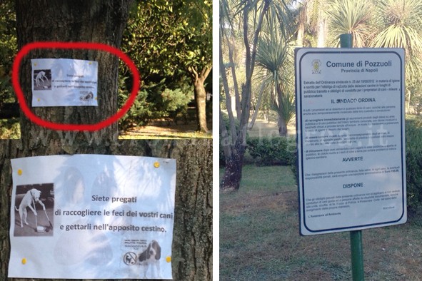 POZZUOLI/ Cani in Villa Avellino, Comune e cittadini contro i “padroni sporcaccioni”