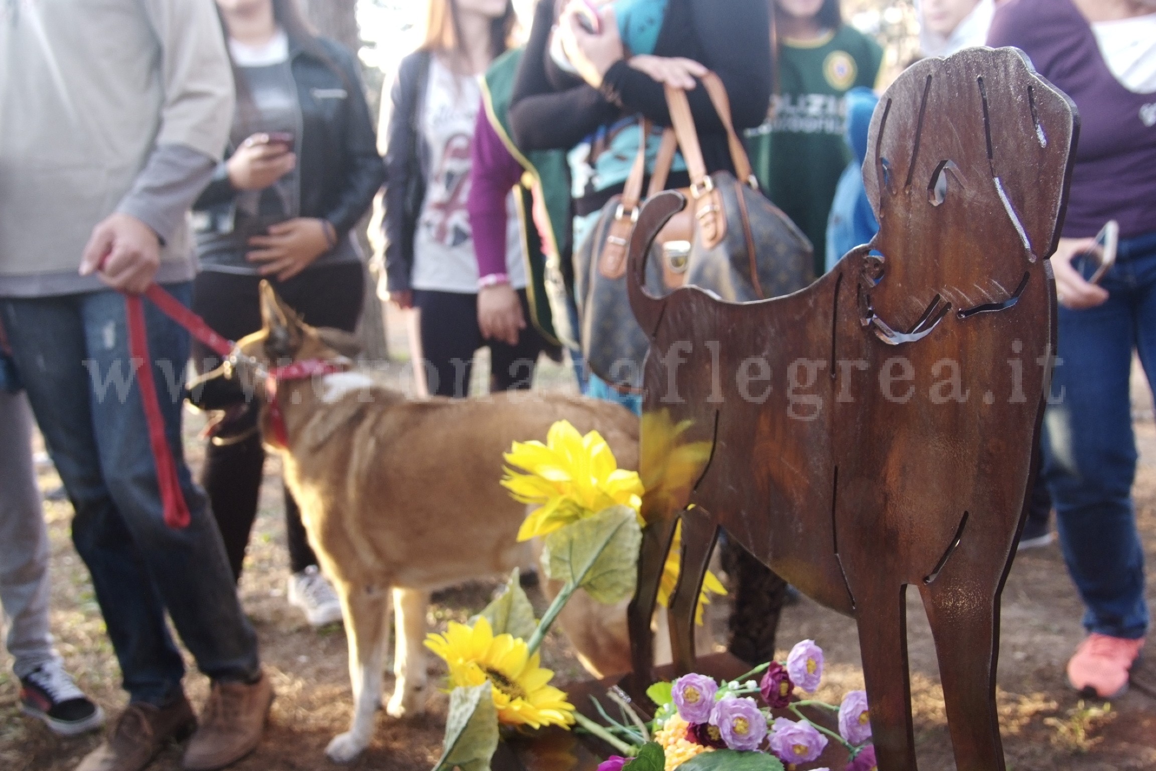 POZZUOLI/ Una sagoma di cane in ferro per ricordare Spike – LE FOTO