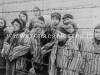 BACOLI/ Il Comune conferisce la Cittadinanza Onoraria a 4 ebrei rifugiati nel 1946 in città