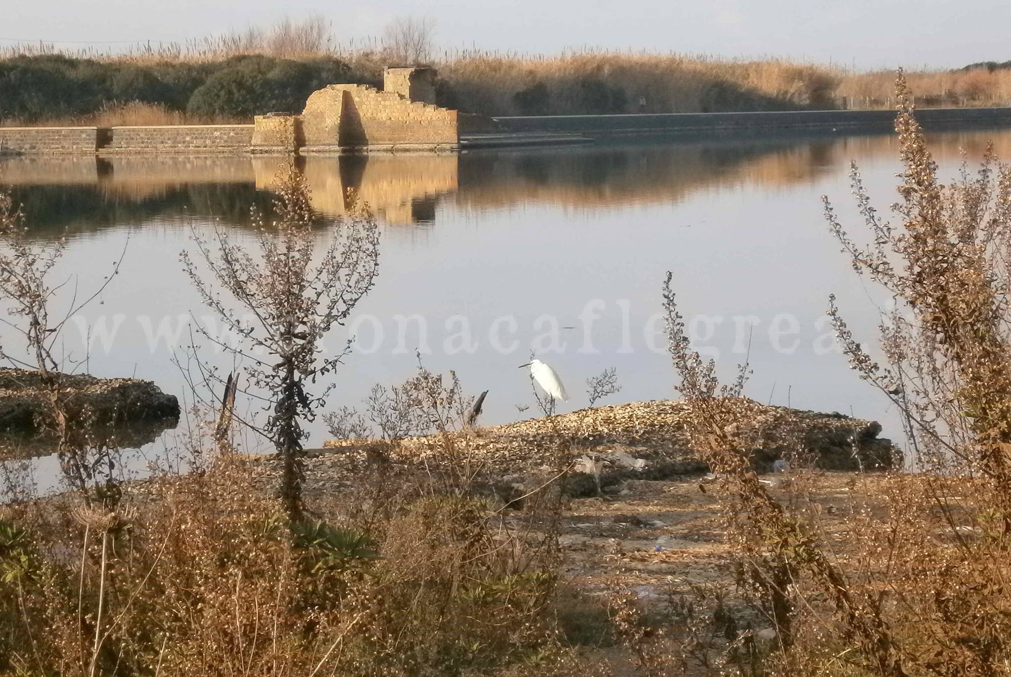 CAMPI FLEGREI/ Si celebrano le Zone Umide: paludi, laghi e lagune in festa – LE FOTO