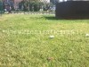 POZZUOLI/ Ancora rifiuti nel monumento dedicato alle vittime di Monteforte Irpino