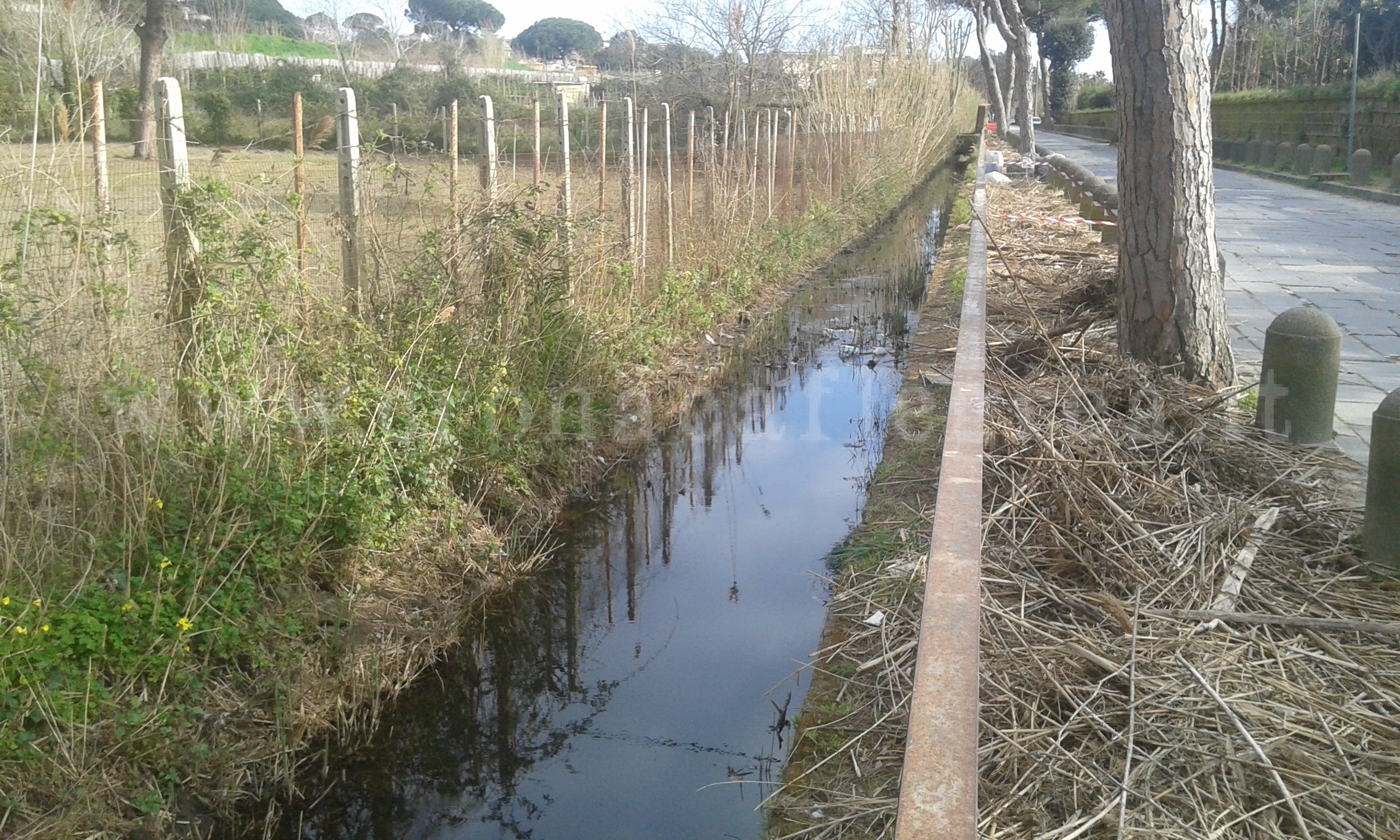 POZZUOLI/ Ripulito il canale del Lago d’Averno, il sentiero torna percorribile – LE FOTO