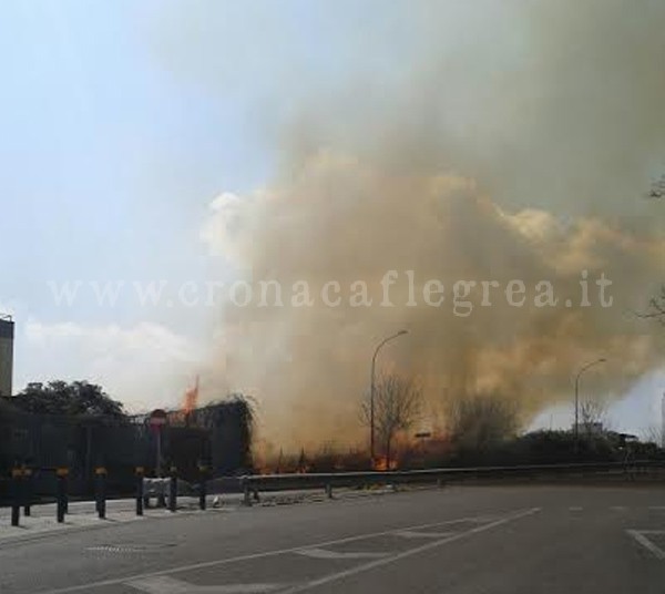 POZZUOLI/ Incendio a Monterusciello, le fiamme invadono la strada – LE FOTO