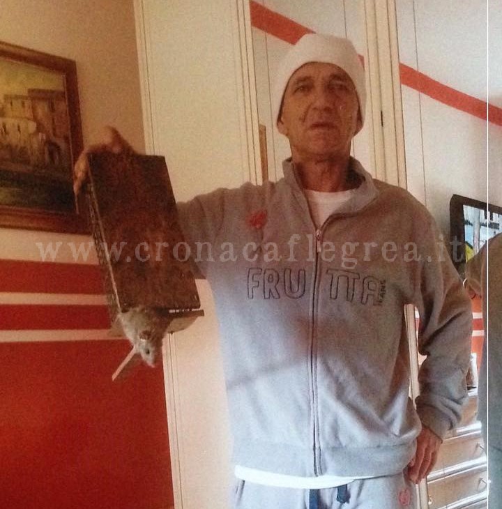 POZZUOLI/  «Ho la casa invasa dai topi» – LE FOTO