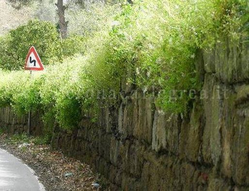 POZZUOLI/ Mura greche lasciate all’incuria