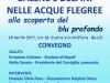 BACOLI/ Balene e delfini nelle acque flegree: convegno alla Casina Vanvitelliana