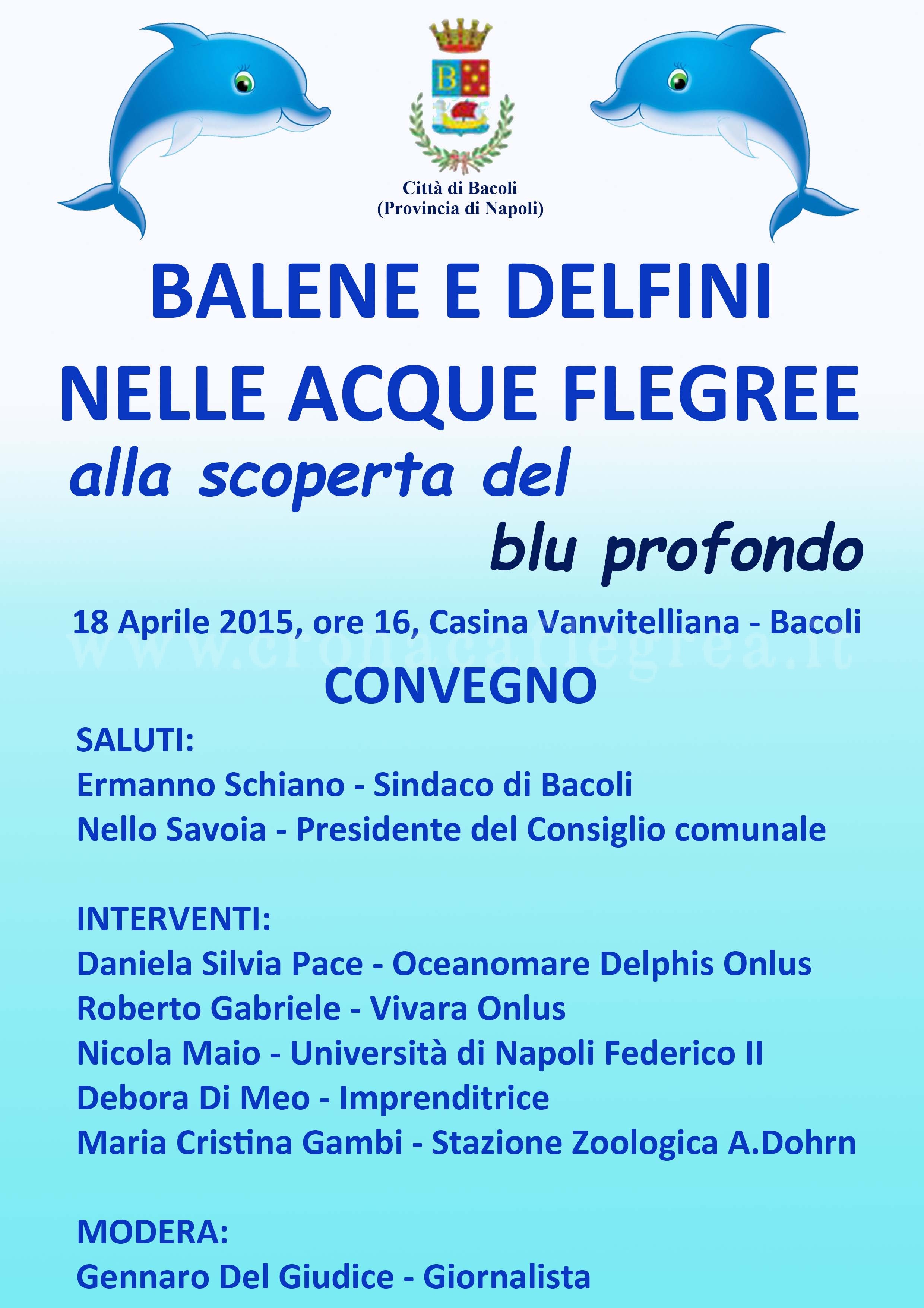 BACOLI/ Balene e delfini nelle acque flegree: convegno alla Casina Vanvitelliana