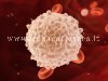 DIETOLOGIA/ Combattere e prevenire il cancro: questione di anticorpi