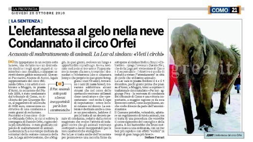 circo orfei