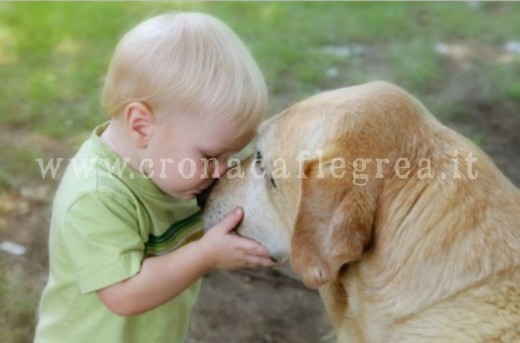 La giusta interazione tra piccolo ed animale