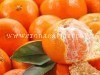 CAMPI FLEGREI/ Il mandarino flegreo è tra i 28 prodotti della tradizione campana