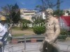 BACOLI/ Dopo gli atti vandalici ripulita la statua di Nettuno – LE FOTO