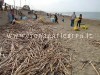 POZZUOLI/ Torna “Spiagge pulite” a Marina di Licola