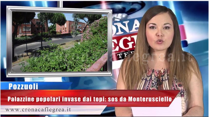 Cronaca, Politica e Meteo nel Video-Giornale di Cronaca Flegrea