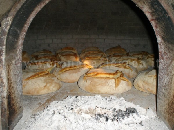 Legna con chiodi arrugginiti e vernice per cuocere pane: 13 forni abusivi