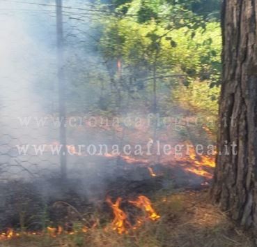 POZZUOLI/ Contro abusivismo edilizio: nasce il catasto delle aree incendiate