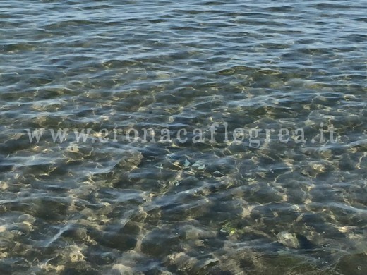 Una delle foto del mare pulito 