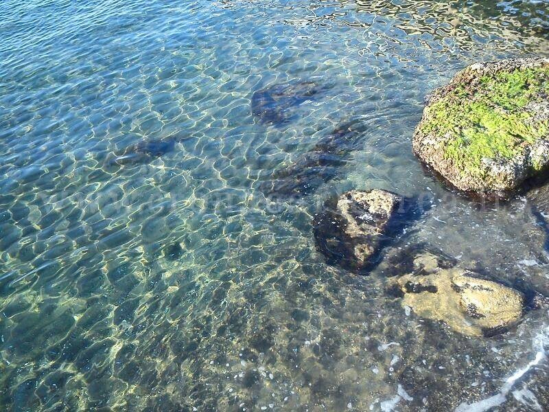 L’INIZIATIVA/ Da Arco Felice a Sessa Aurunca il Web racconta il “mare pulito” – LE FOTO