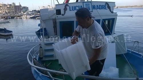 CAMPI FLEGREI/ Pesca, mai più polistirolo in mare: in arrivo le cassette riciclabili