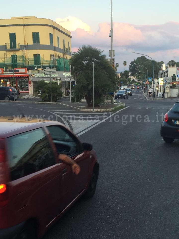 I LETTORI SEGNALANO/ «Cartelli stradali coperti da una pianta e auto costrette a fermarsi»