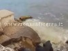 POZZUOLI/ Liquami in mare a via Napoli – GUARDA IL VIDEO