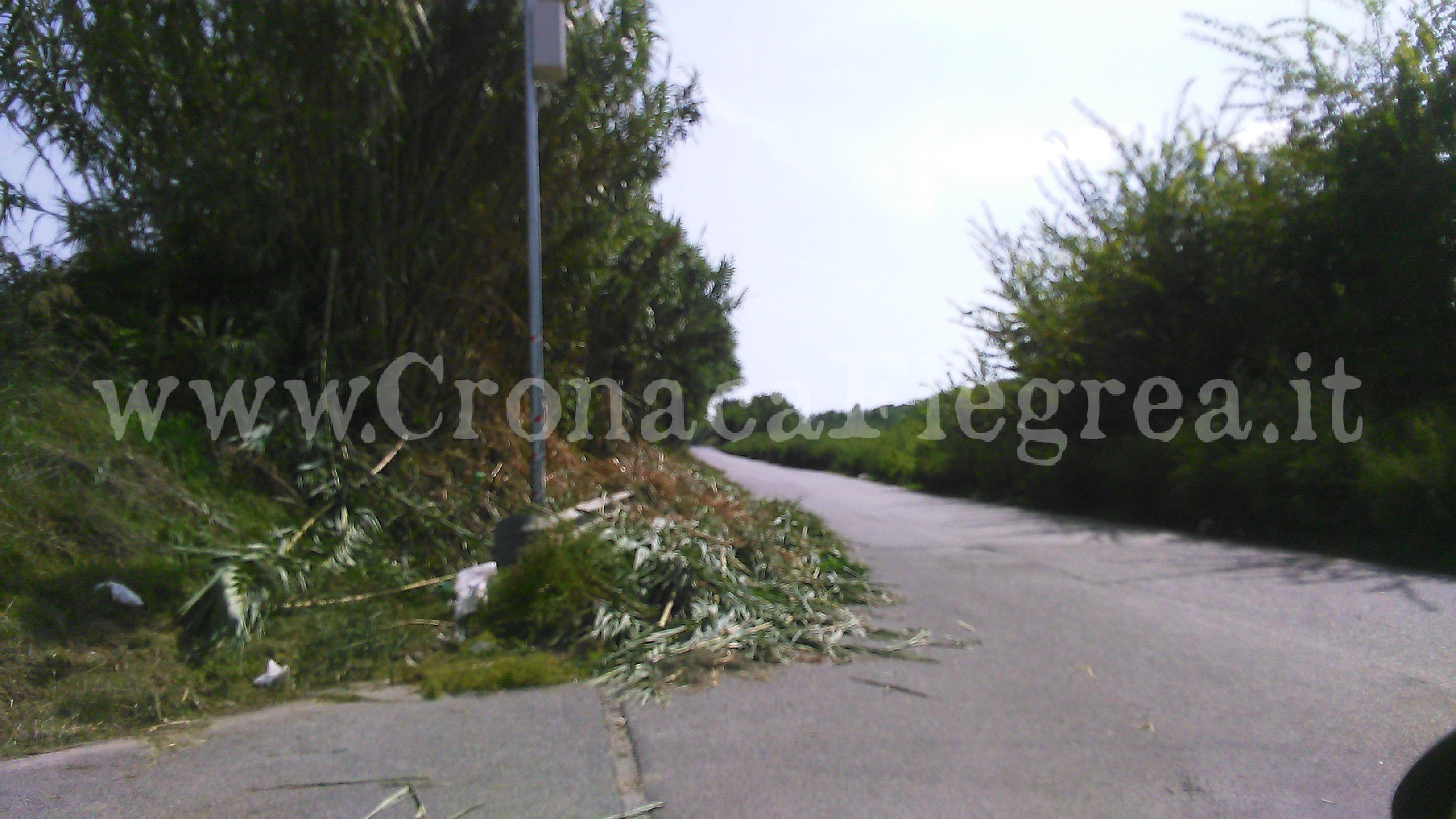 VARCATURO/ Via Madonna del Pantano: habemus pulizia!