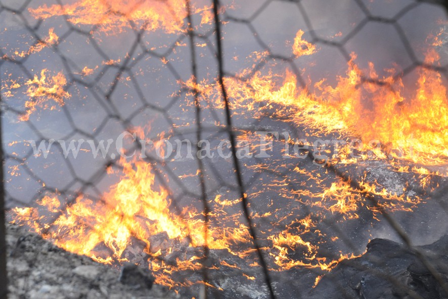 Incendiano rifiuti vicino a coltivazioni di frutta e ortaggi: arrestati