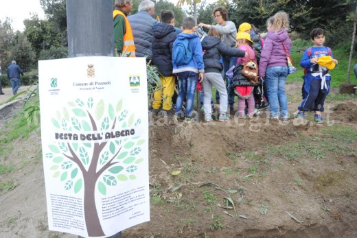 Festa dell'albero (2)