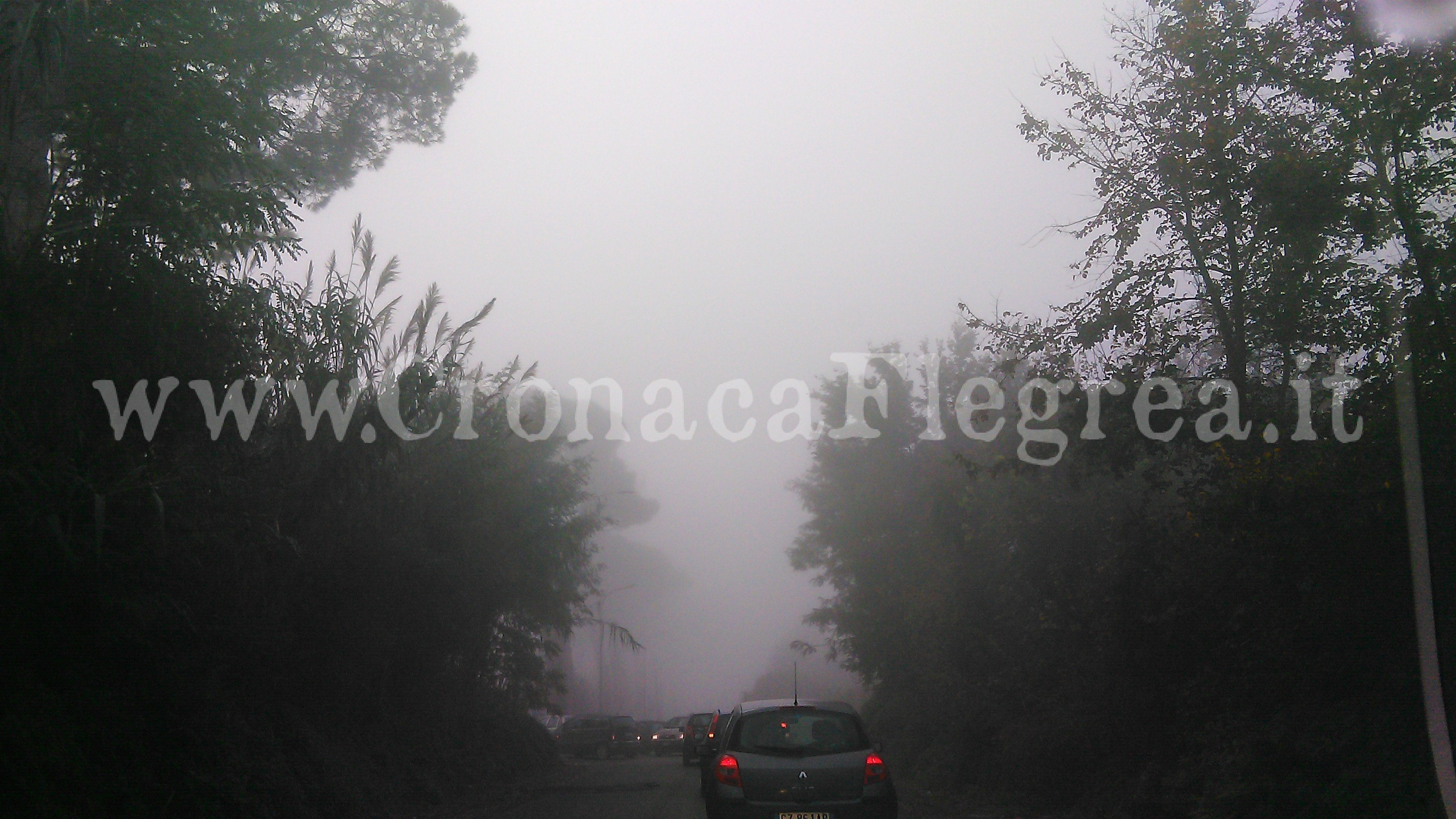 FOTONOTIZIA/ Risveglio tra la nebbia a Licola