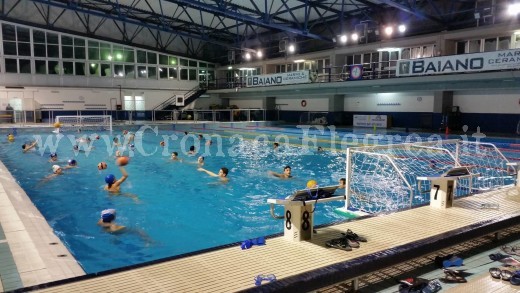 collegiali pallanuoto