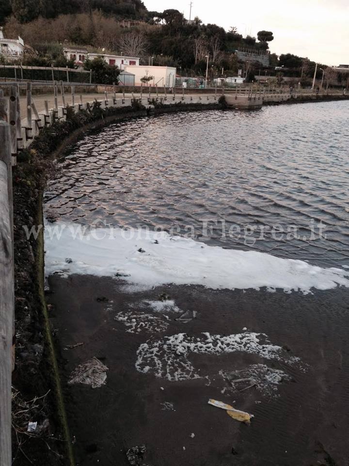 BACOLI/ Schiuma “sospetta” sulle sponde del lago Miseno. Freebacoli ora tace?