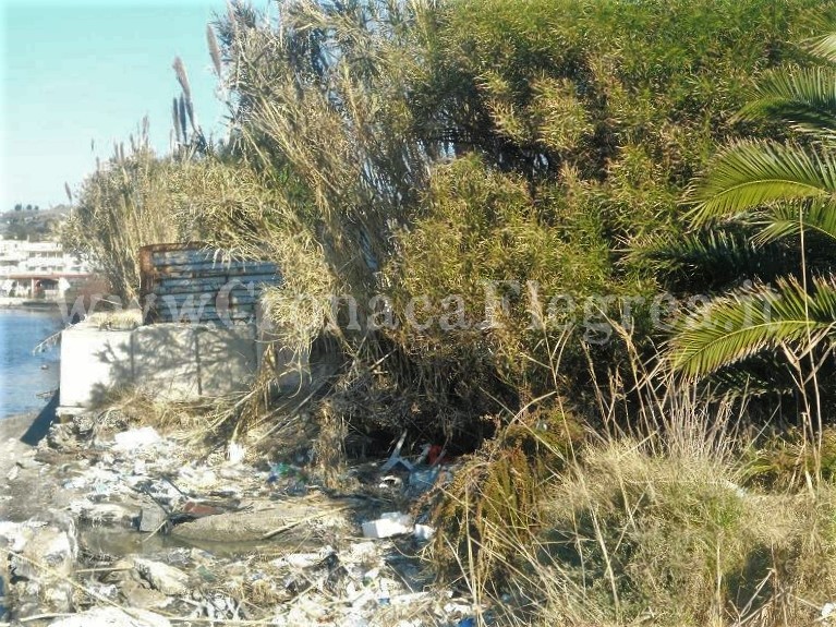 BACOLI/ Lago Fusaro, sulle sponde proliferano i rifiuti