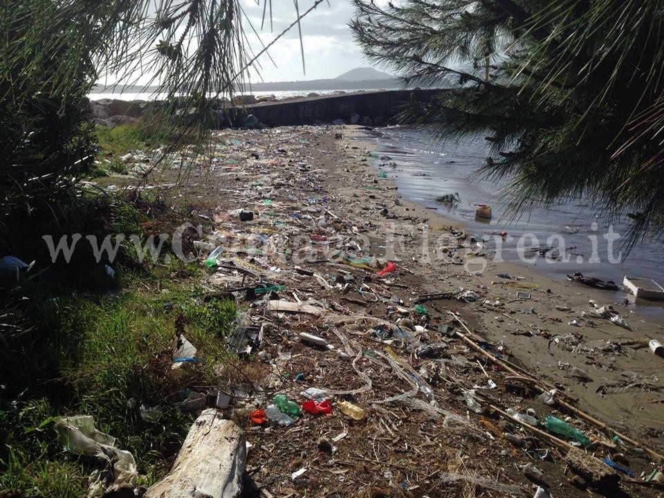 MONTE DI PROCIDA/ Mareggiata e maltempo, la spiaggia fa il pieno di rifiuti