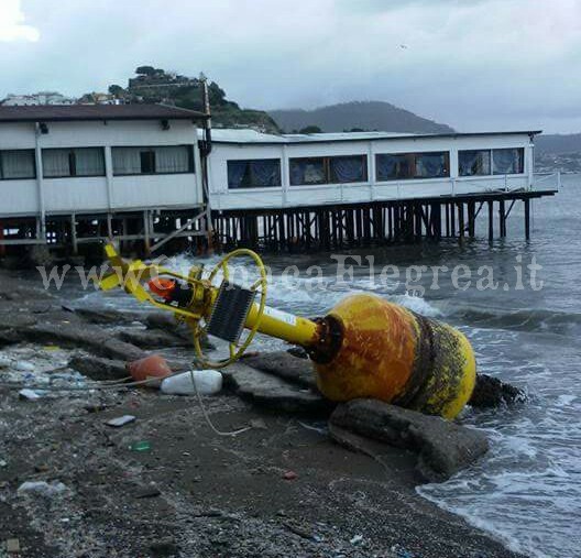 FOTONOTIZIA/ Maltempo, boa faro finisce sulla spiaggia di Baia