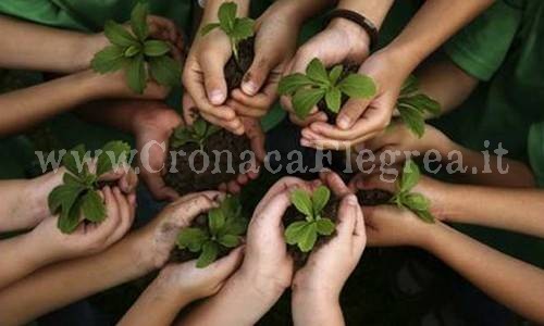 MONTE DI PROCIDA/ Campania BioSociale, si presenta il progetto