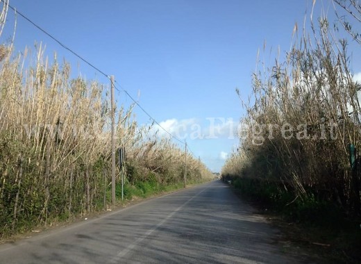 via Spiaggia Romana ripulita