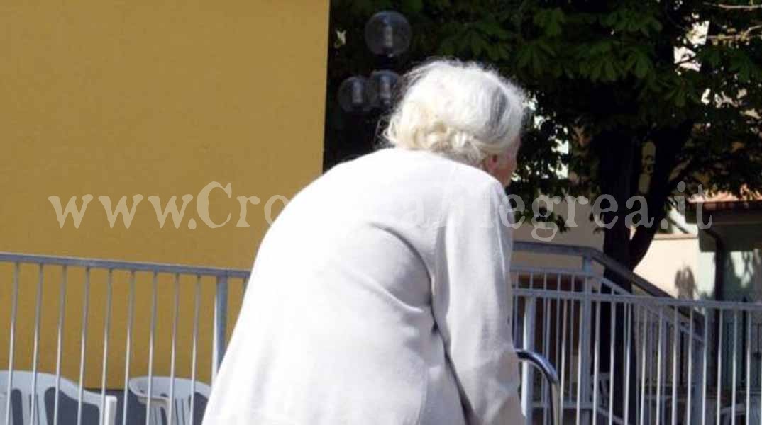 Droga, nonna spacciatrice arrestata dalla Polizia